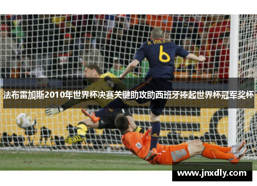 法布雷加斯2010年世界杯决赛关键助攻助西班牙捧起世界杯冠军奖杯